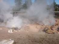 Bubbling pools of boiling water and gasses